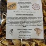 Szárított erdei gomba válogatás fotó