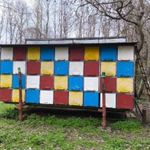 Méhész konténer 72 fiókos eladó. fotó