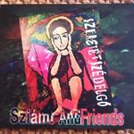 Sziámi And Friends: Szeretetszédelgő CD fotó