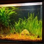 Akvárium szett 70 literes fotó