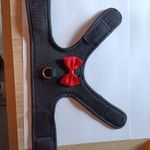 Kisállat hám fotó