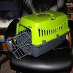 kisállat hordozó fotó