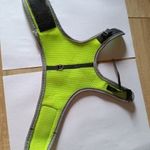 Kisállat hám fotó