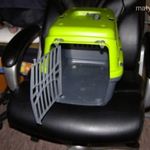 kisállat hordozó fotó