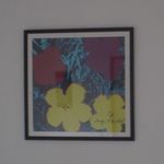 Andy Warhol Flowers 60 X 60 cm Virágok eredetiség igazolással fotó