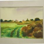 Bóka Dezső őszi táj akvarell, papír, jelzett, képcsarnokos, 60 x 48, 49 x 37, cm , jelzett. fotó