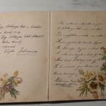 Antik emlékkönyv korához képest állapotban 1895-96 fotó