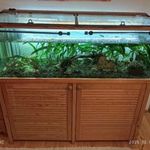 Akvárium eladó fotó