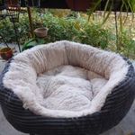 Kutyafekhely ( vagy cicafekhely) fotó