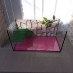 54 literes akvárium terrárium. Vizi teknősöknek. fotó