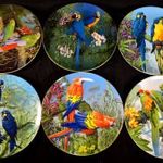 WEDGWOOD ... PAZAR PAPAGÁJ MINTÁS PORCELÁN DÍSZ TÁNYÉR SZETT X fotó