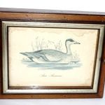 FÁBÓL KÉSZÜLT FALI KULCSTARTÓ , AJTAJÁN FÜTYÜLŐRÉCE NYOMAT ÜVEG ALATT fotó