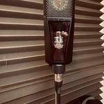 Lewitt Pure Tube fotó