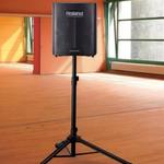 ROLAND BA-330 PA Sztereó Hangrendszer fotó