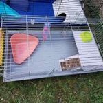 NYÚL KETREC TENGERIMALAC KETREC 100-AS KOMPLETTEN CSAK SZEMÉLYES 17.KER fotó