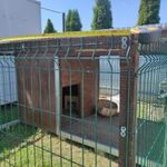 Téliesített kutyakennel eladó fotó