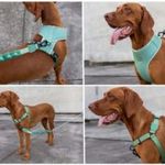Zee.Dog Army Green Ruff kutyapóráz kis méret fotó
