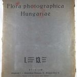 Dr. Vajda Ernő, Vajda László: Flora Photographica Hungariae. I. XIII., 1931. Botanika RITKASÁG fotó
