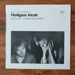 Dés - Beremènyi / Hallgass kicsit SLPX 14092 fotó