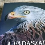 Tudományos fotó