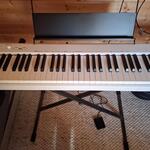 Casio CPD D110 fotó
