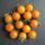Sungold paradicsom, koktélparadicsom mag, vetőmag 20db fotó