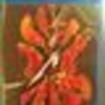 S & M2 - METALLICA & SAN FRANCISCO SYMPHONY (2019) BLU-RAY fotó