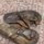 Kislány nyári papucs, bőr flip-flop 15 cm-es belső talphossz, vintage fotó