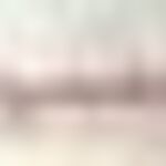 Baja Szentháromság tér panoráma kép, grafika Miklós Horváth István, 80 x 15 cm./sokszrosított grafika/ fotó
