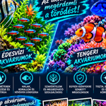 Aqua Care Professzionális akvárium karbantartás fotó
