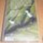 Mese vhs Maja a méhecske 3. fotó